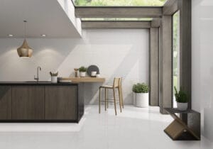 Porcelain White Polished